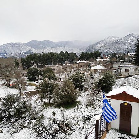 Lilaia'S View Βίλα Εξωτερικό φωτογραφία